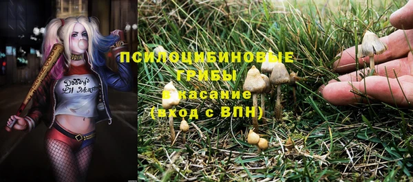 эйфоретик Володарск