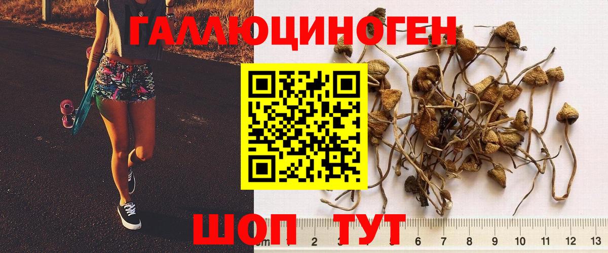 Галлюциногенные грибы Мценск